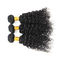 Đôi sợi ngang Brazil Water Wave Hair Extensions 3 Gói Không Shedding nhà cung cấp