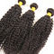 100 chưa qua chế biến Trinh Curly Hair Gói Dòng tóc tự nhiên Không rụng nhà cung cấp
